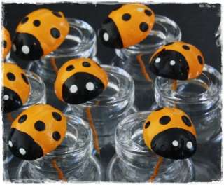 terrarium Miniature 10 Ladybug Stake Mini Garden  