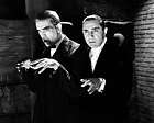 Bela Lugosi & Boris Karloff #1 Photo   The Raven 1935