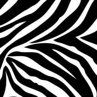 Wall Pops / Wallpops Go Wild Zebra Stripe Border  