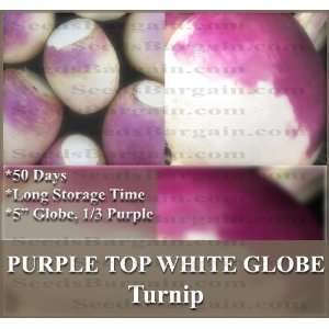  3,000+ PURPLE TOP WHITE GLOBE Turnip seeds ~ Greens 
